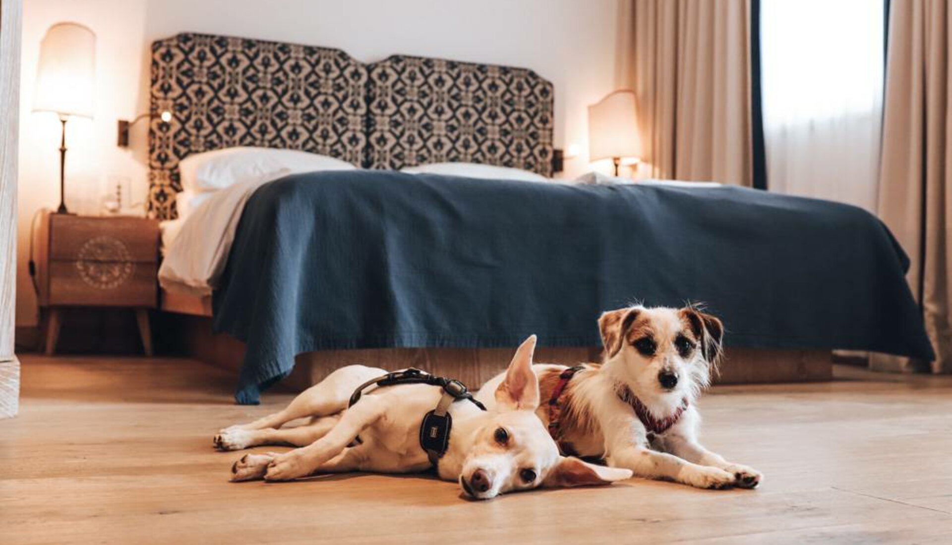 Urlaub mit Hund im hundefreundlichen Hotel Kärnten