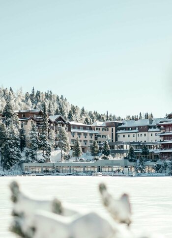 Beste Angebote ::: Urlaub Kärnten im 4-Sterne-S-Hotel