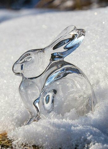 Urlaubsangebote für das ganze Jahr - Turracher Höhe Urlaubsangebote für das ganze Jahr - Turracher Höhe