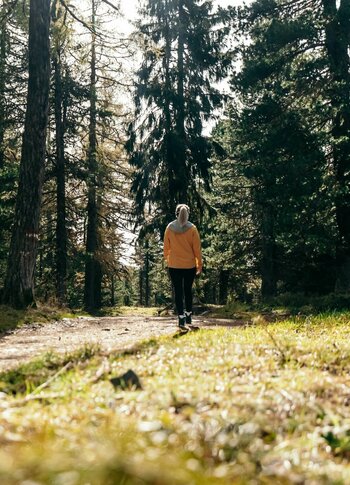 Wanderweg im Herbstwald auf der Turracher Höhe Eine Person geht auf einem Waldweg durch den herbstlichen Nadelwald.