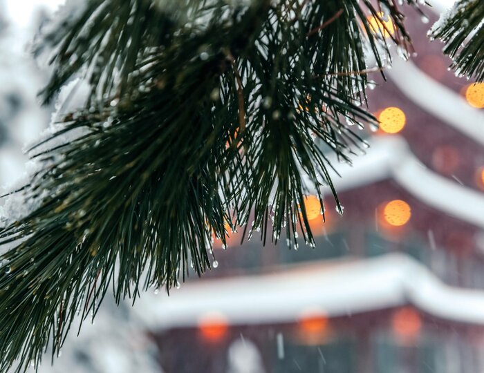 4-Sterne-S Skihotel Kärnten im schneesicheren Skigebiet 